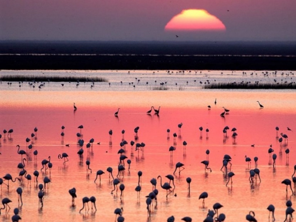 Parque-Nacional-de-Doñana