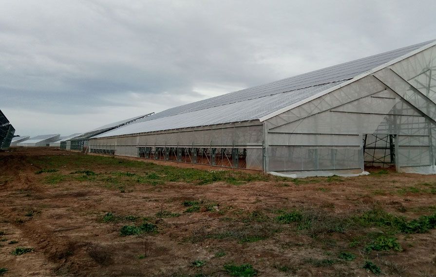 albañileria construcción reformas