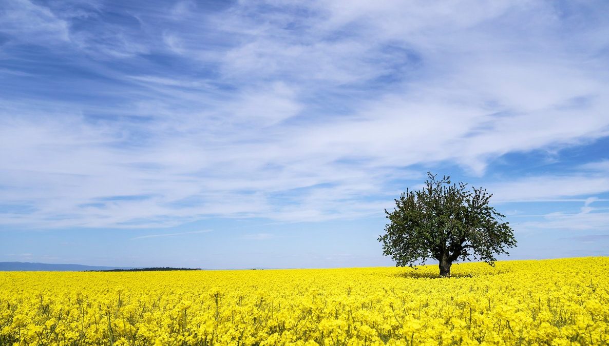 inversiones construcción albañileria